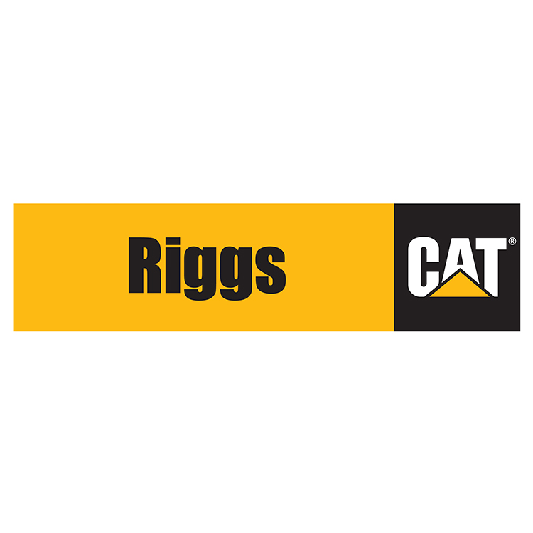 Riggs CAT